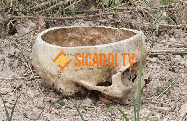 Screenshot_20211228-191614_Gallery