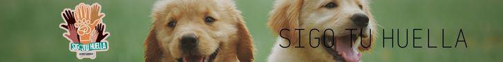BANNER SIGO TU HUELLA