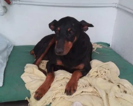 520207688_1456029855535410_6715855775473242250_n