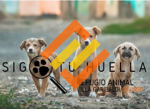 WhatsApp Image 2018-10-24 at 10.55.56