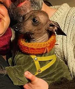 Una familia busca a Imay