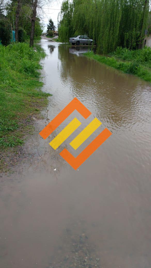 WhatsApp Image 2018-09-29 at 15.56.57