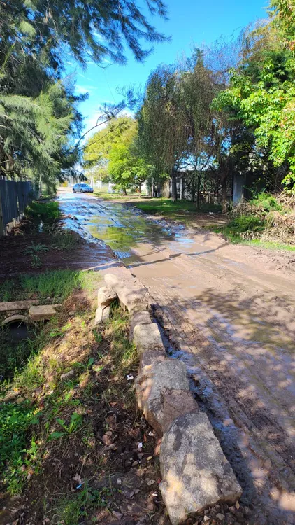 Calle 14 bis entre 659 y 660