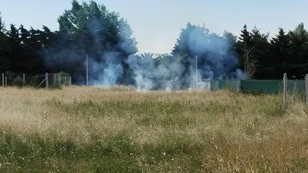Pastizal incendiado