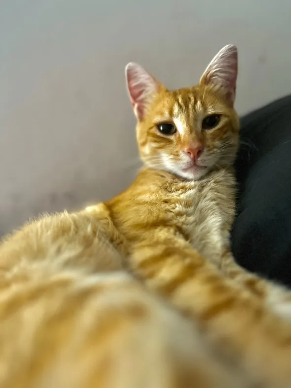 Business Suite_creation_1645133893062237