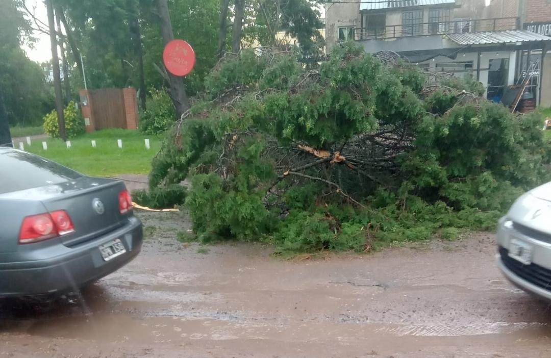 Screenshot_20231217_171400_WhatsApp