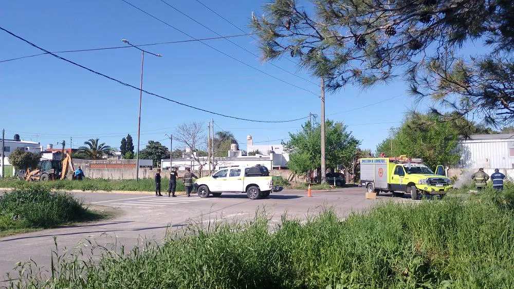 Business Suite_creation_7882151