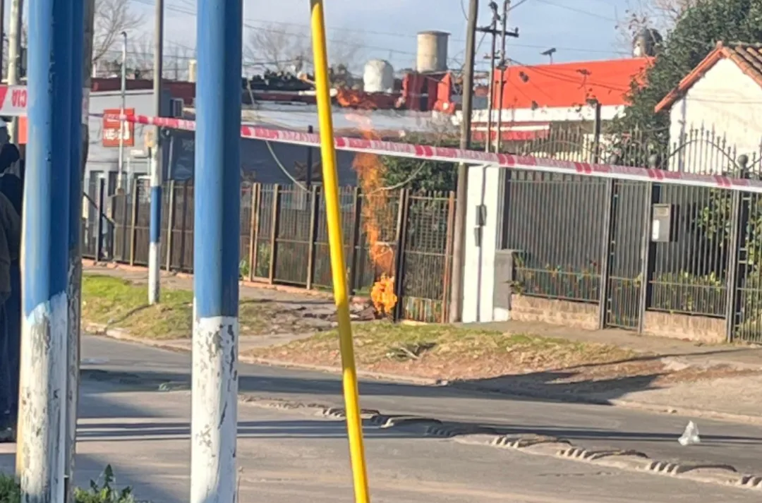 Screenshot_20250628_103644_WhatsAppBusiness