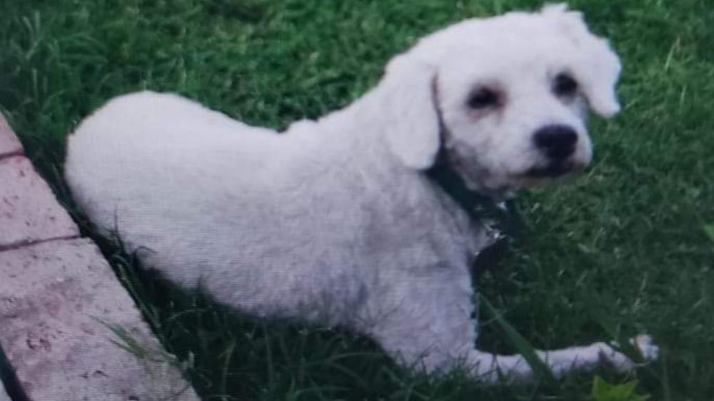 InShot_20200321_122125892