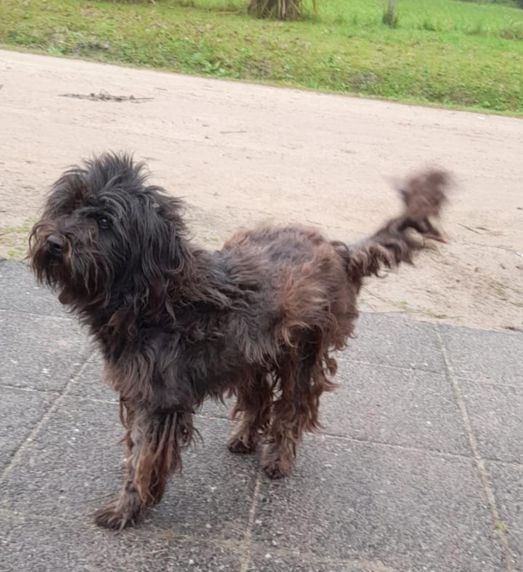 Screenshot_20240616_131131_WhatsAppBusiness