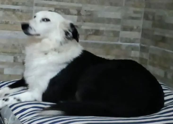 Estrellada se perdió en Villa Garibaldi 