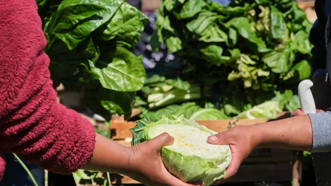Feria Agroecológica 