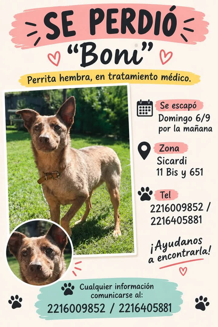 Buscan a Boni en SIcardi