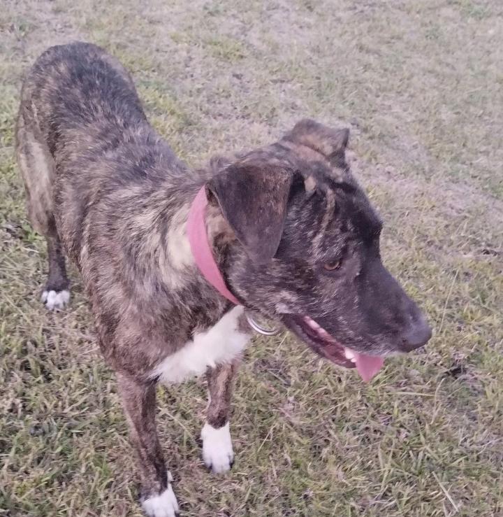 Screenshot_20230327_230334_Business Suite