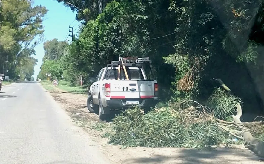 Screenshot_20241029_132008_WhatsApp