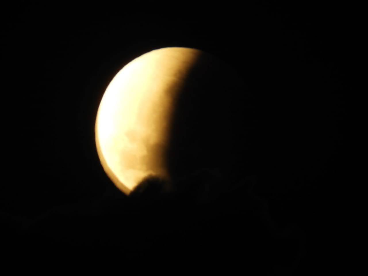 IMG-20211119-WA0005