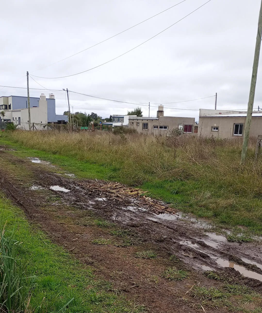 Calle 665 entre 21 y 22