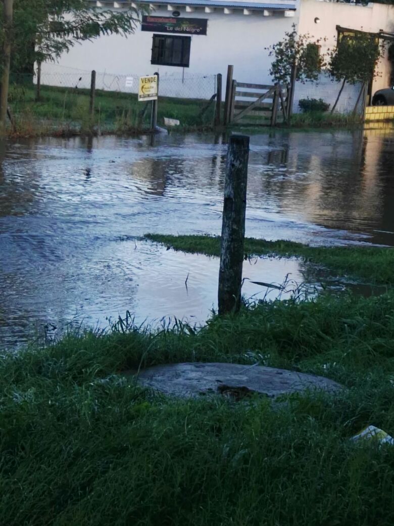 WhatsApp Image 2018-05-11 at 08.46.13