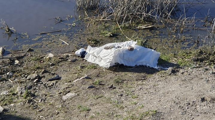 Screenshot_20230918_172206_Gallery