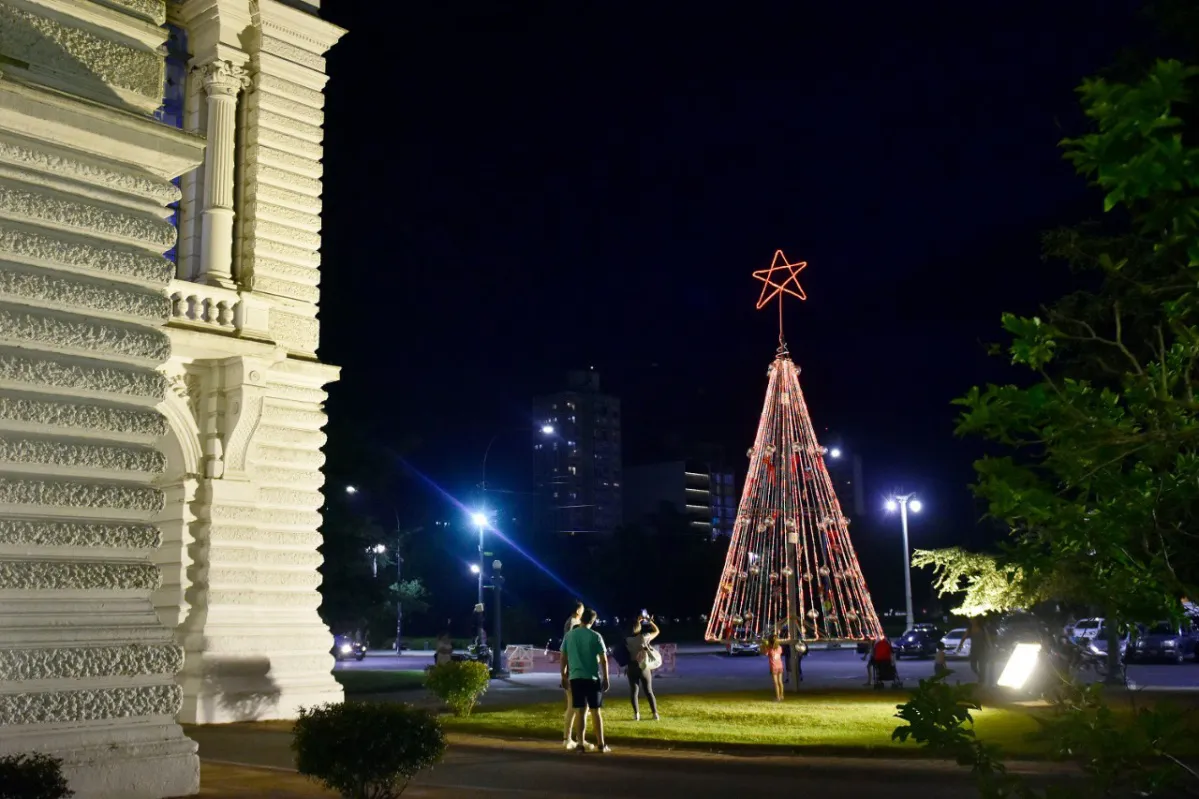 Archivo - El árbol de la Municipalidad de La Plata