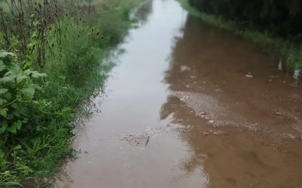 Captura de pantalla 2025-03-03 100530