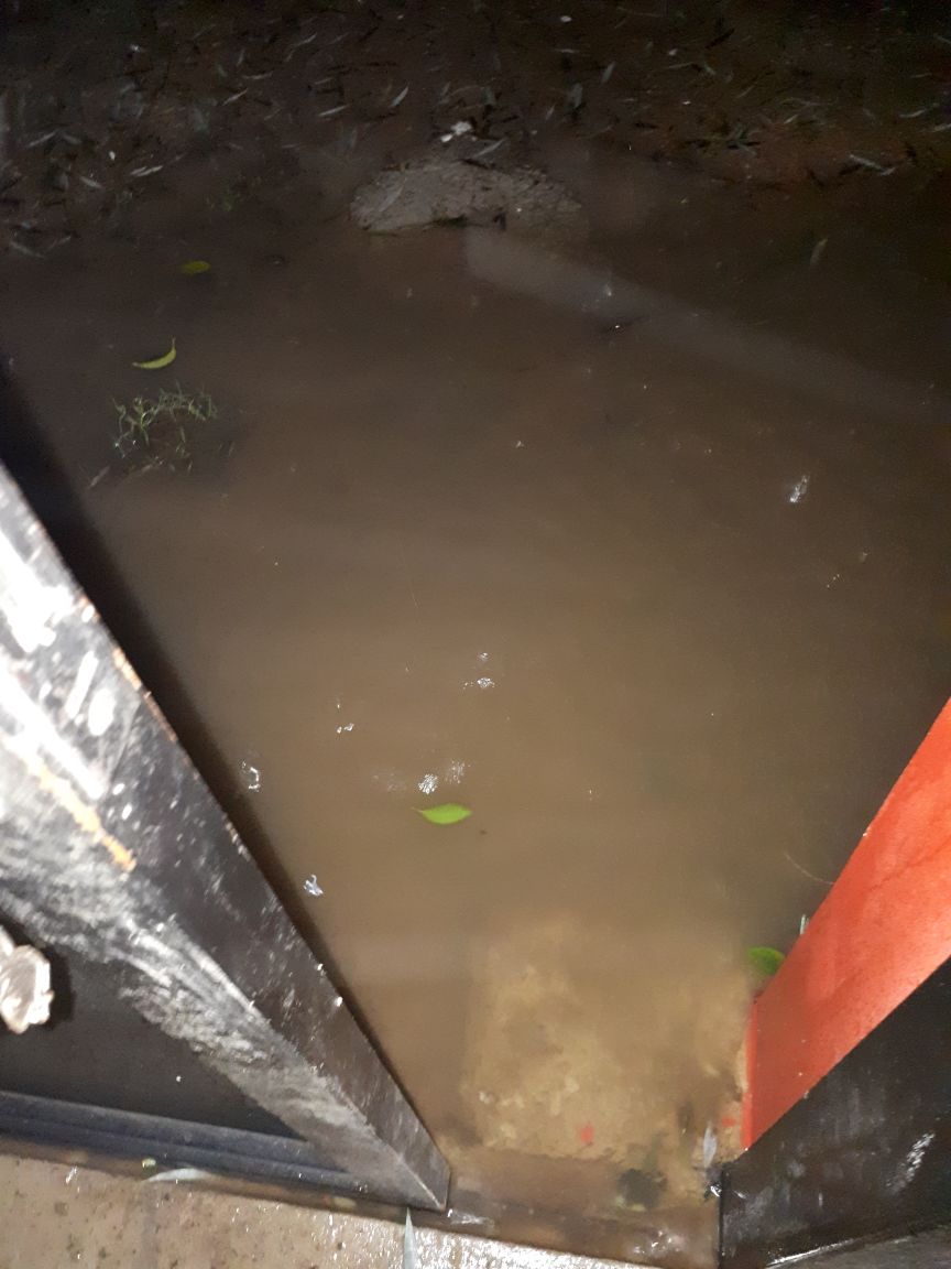 WhatsApp Image 2018-05-11 at 02.38.45