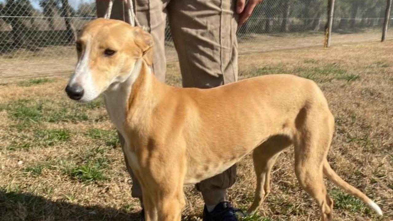 jpg_20220722_164740_0000