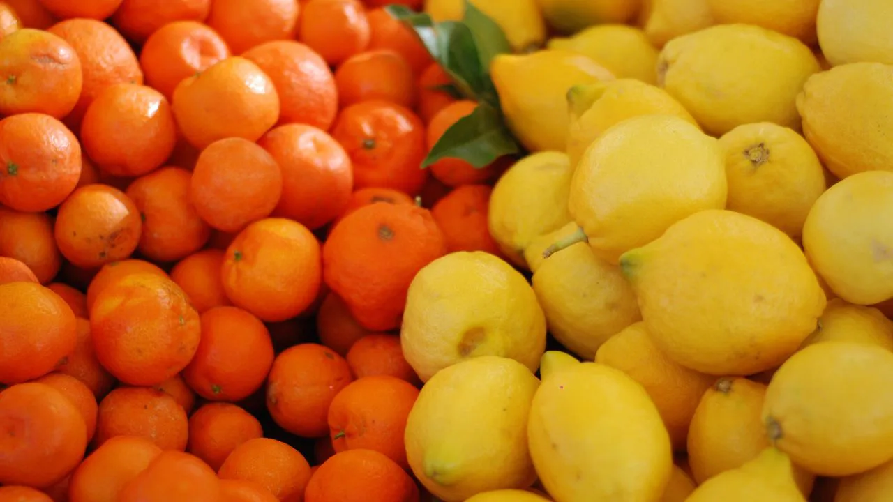 IMAGENES DE SICARDI TV