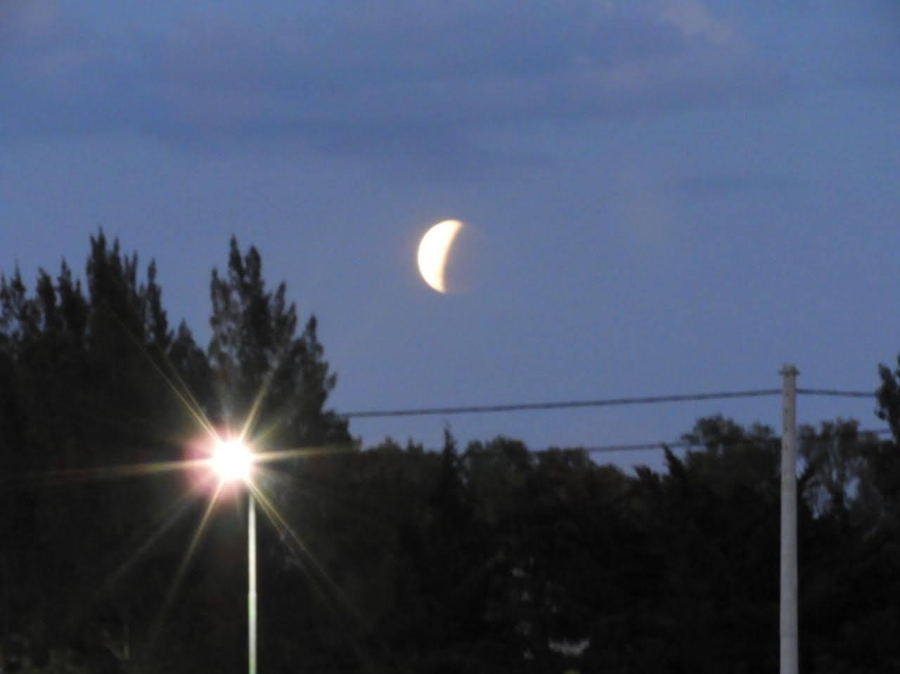 IMG-20211119-WA0002