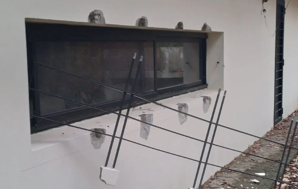La reja rota por donde ingresaron a la vivienda