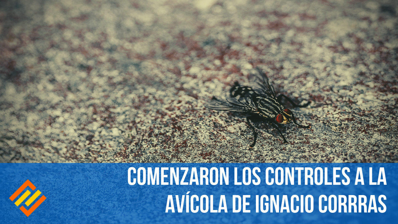 20190111_155118_0000