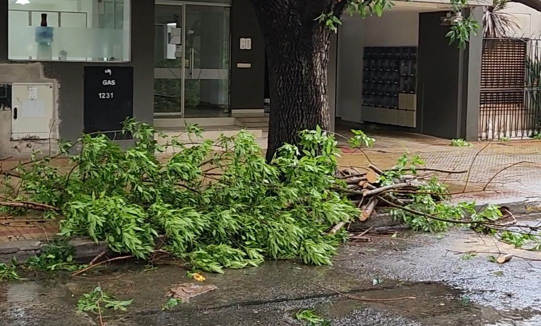 Screenshot_20231217_152951_Gallery