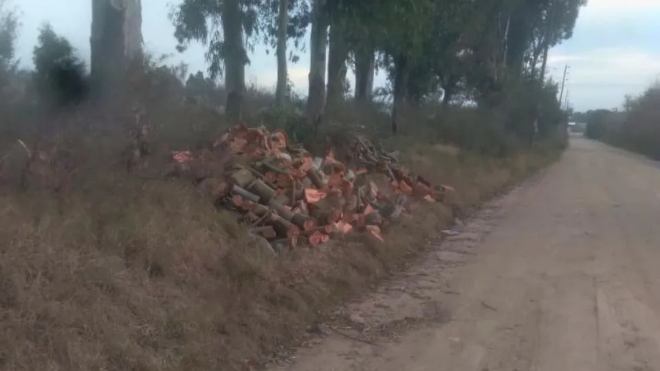 IMAGENES DE SICARDI TV (2)