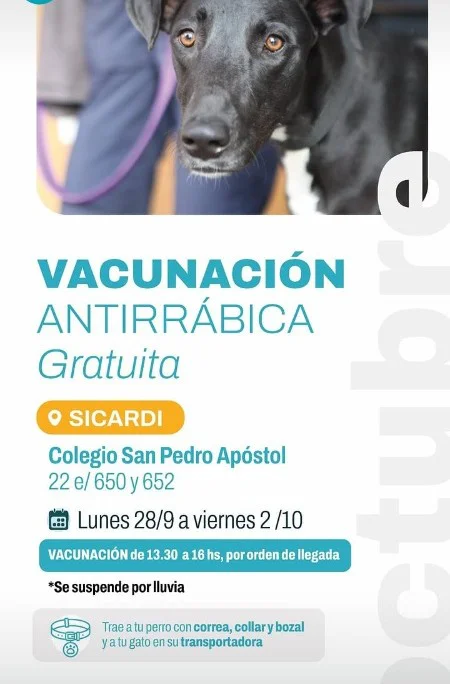 Vacunación antirrábica en Sicardi