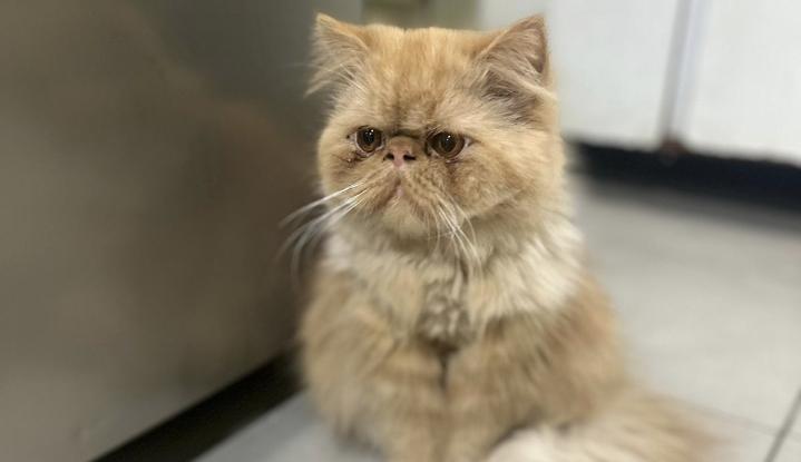 Screenshot_20231011_185041_WhatsAppBusiness