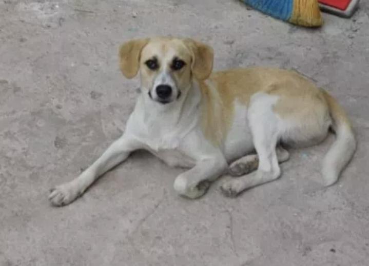 Screenshot_20210407-170313_Business Suite