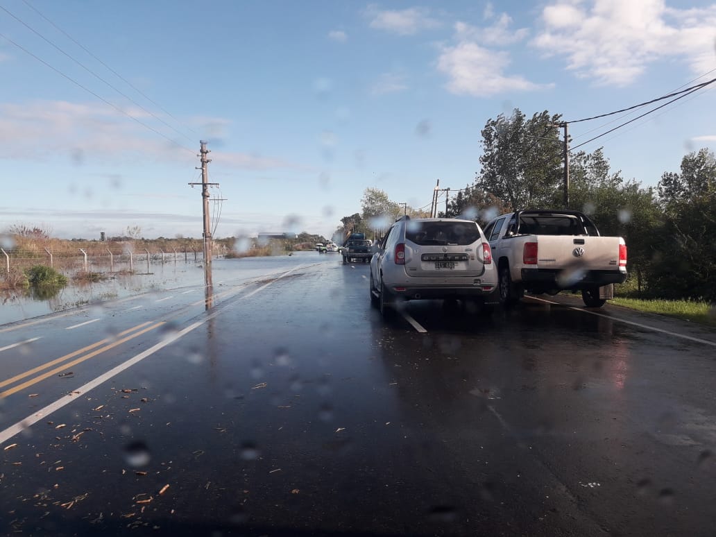 WhatsApp Image 2018-05-11 at 09.18.46