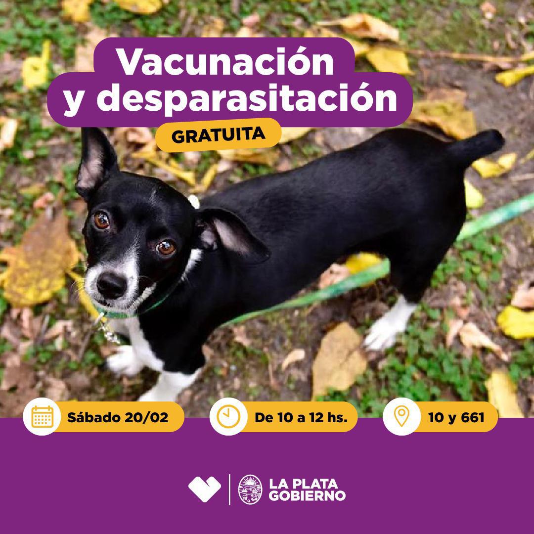 FLYER VACUNA