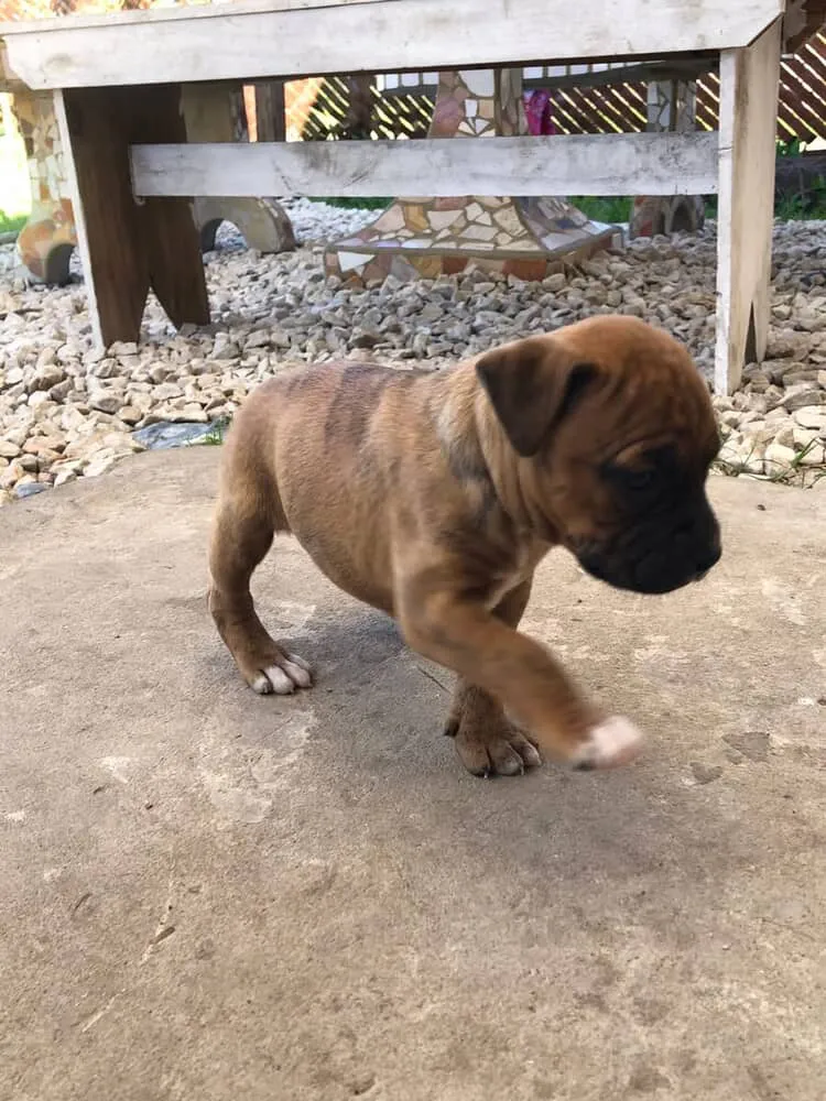 566519786_726348156393940_2527824865193202301_n