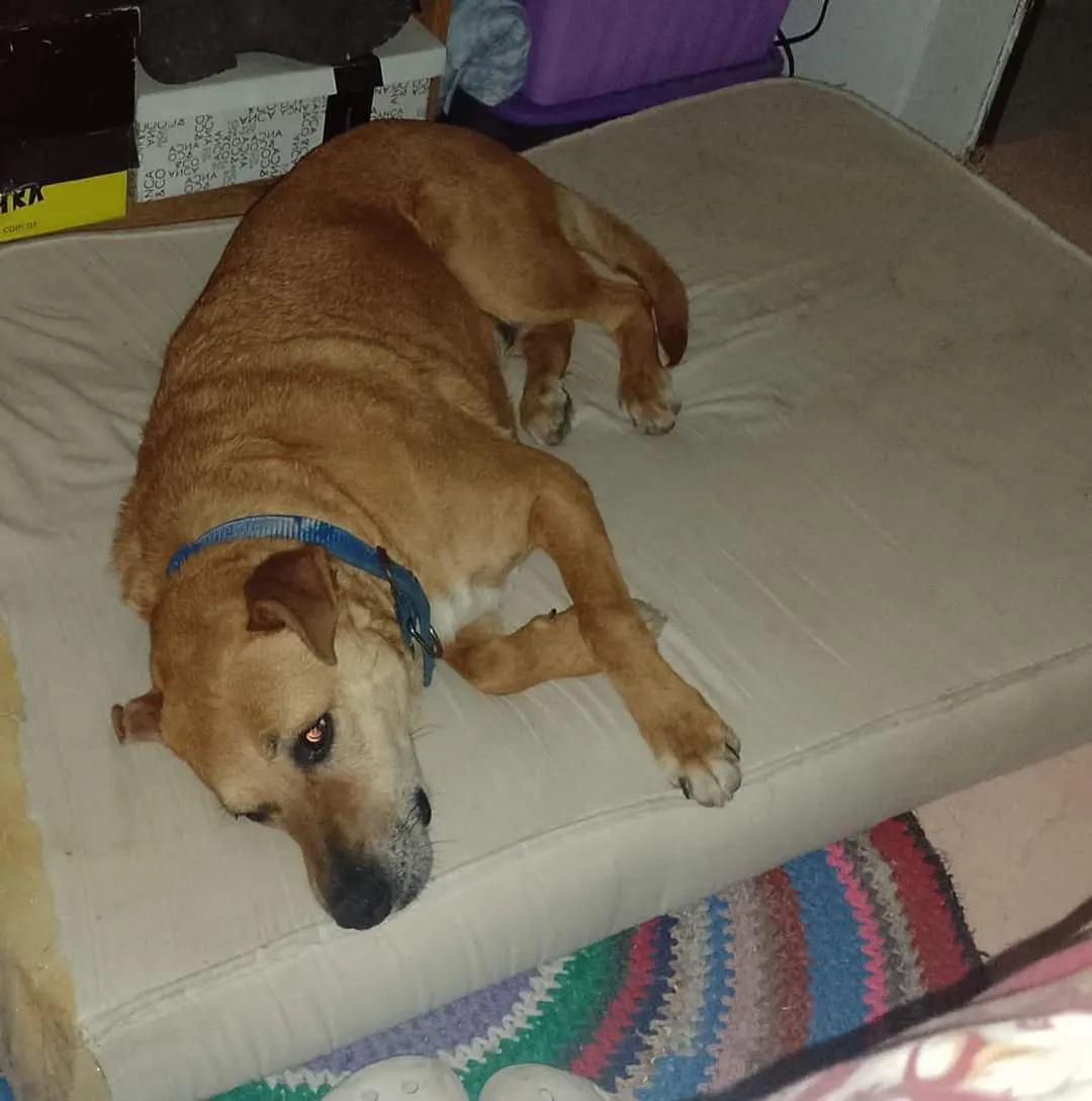 FB_IMG_1732190119141