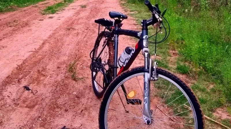 La bicicleta robada