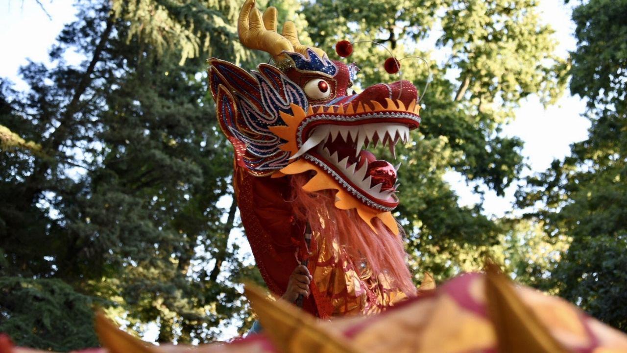 dragon