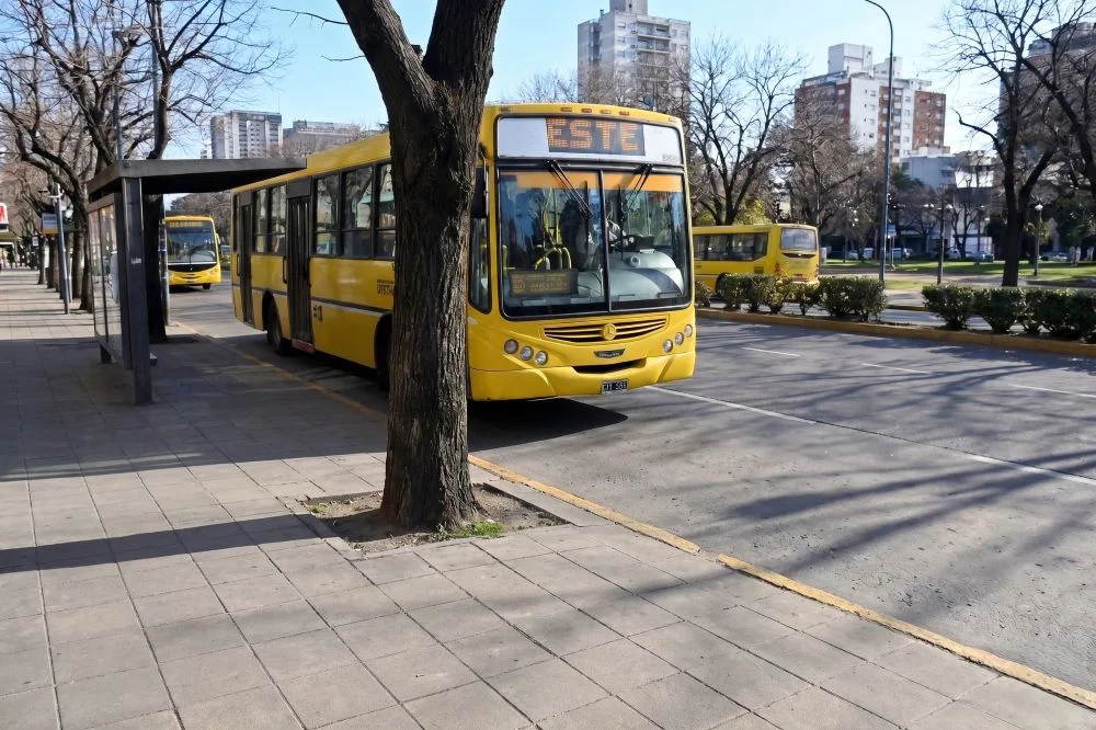 Micro de la línea Este