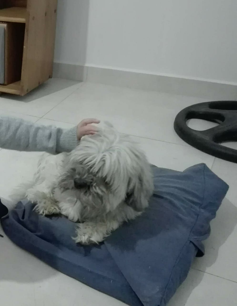 ciro