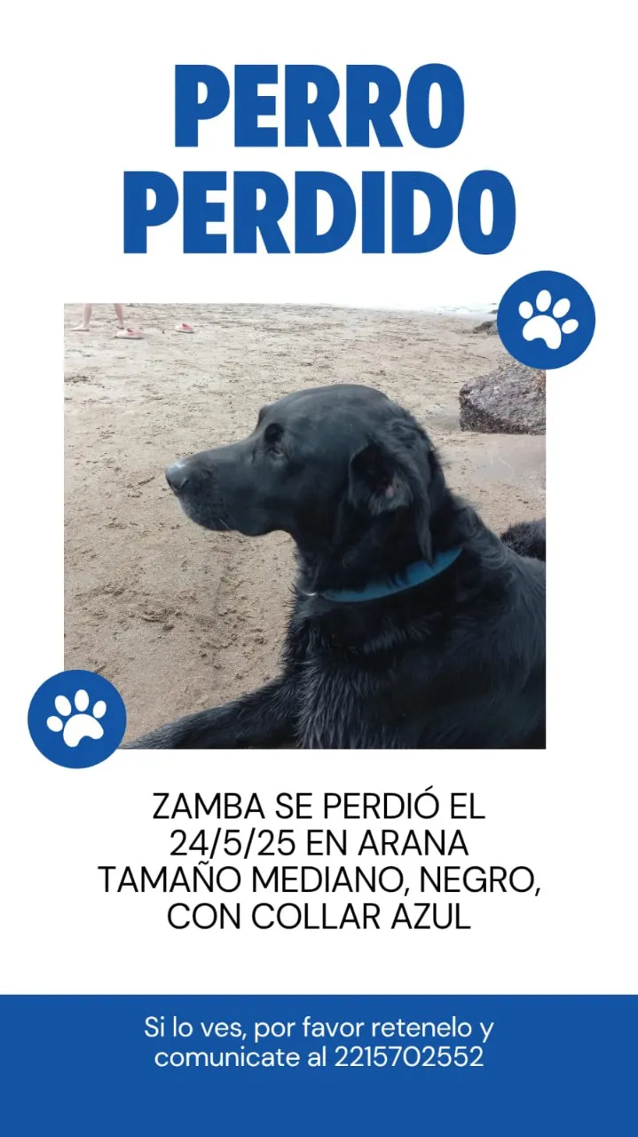 ZAMBA