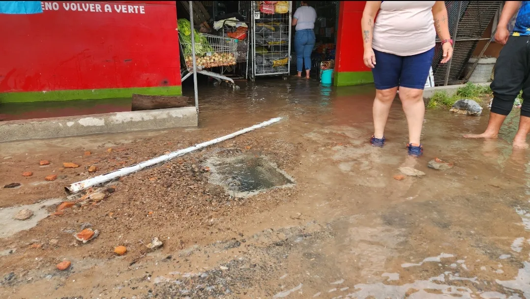 Screenshot_20240930_172708_Gallery