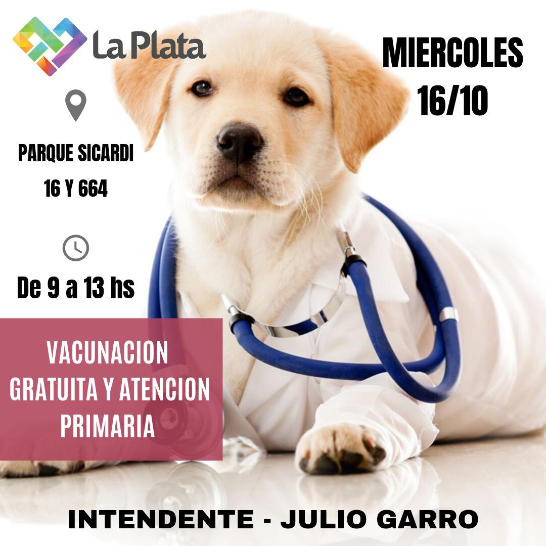 mascota1