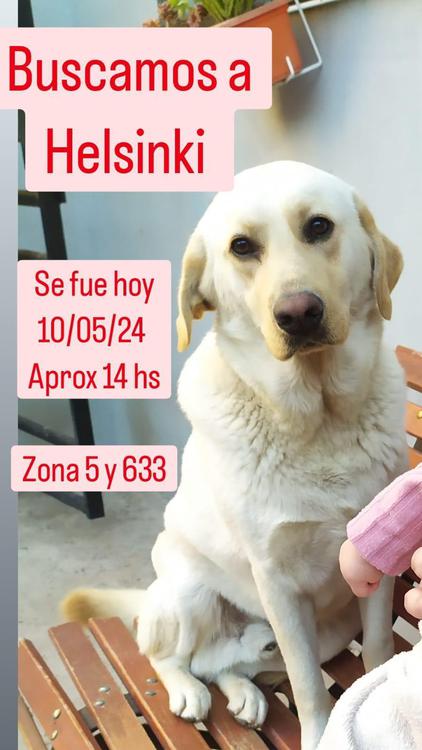 IMG_20240511_161247_768