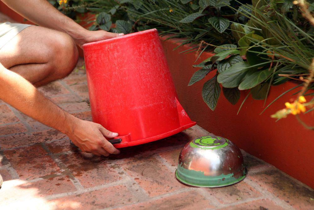 00155 - copia.MTS.00_05_05_52.Imagen fija001