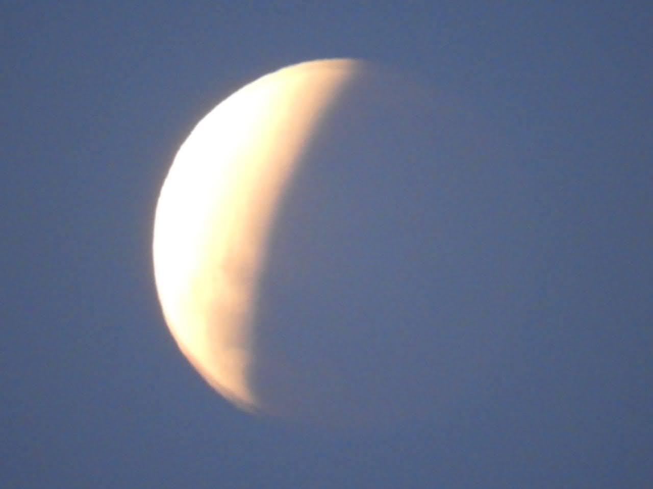 IMG-20211119-WA0007